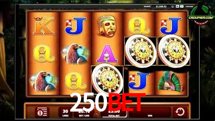 A Experiência Imersiva dos Cassinos Ao Vivo no 250bet